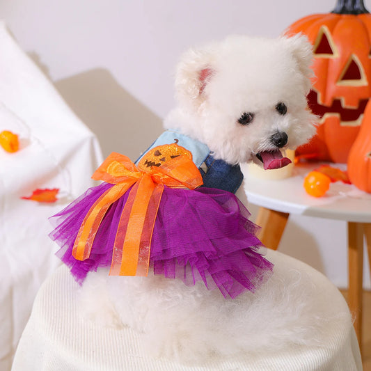 Abiti per cane o gatto per Halloween.