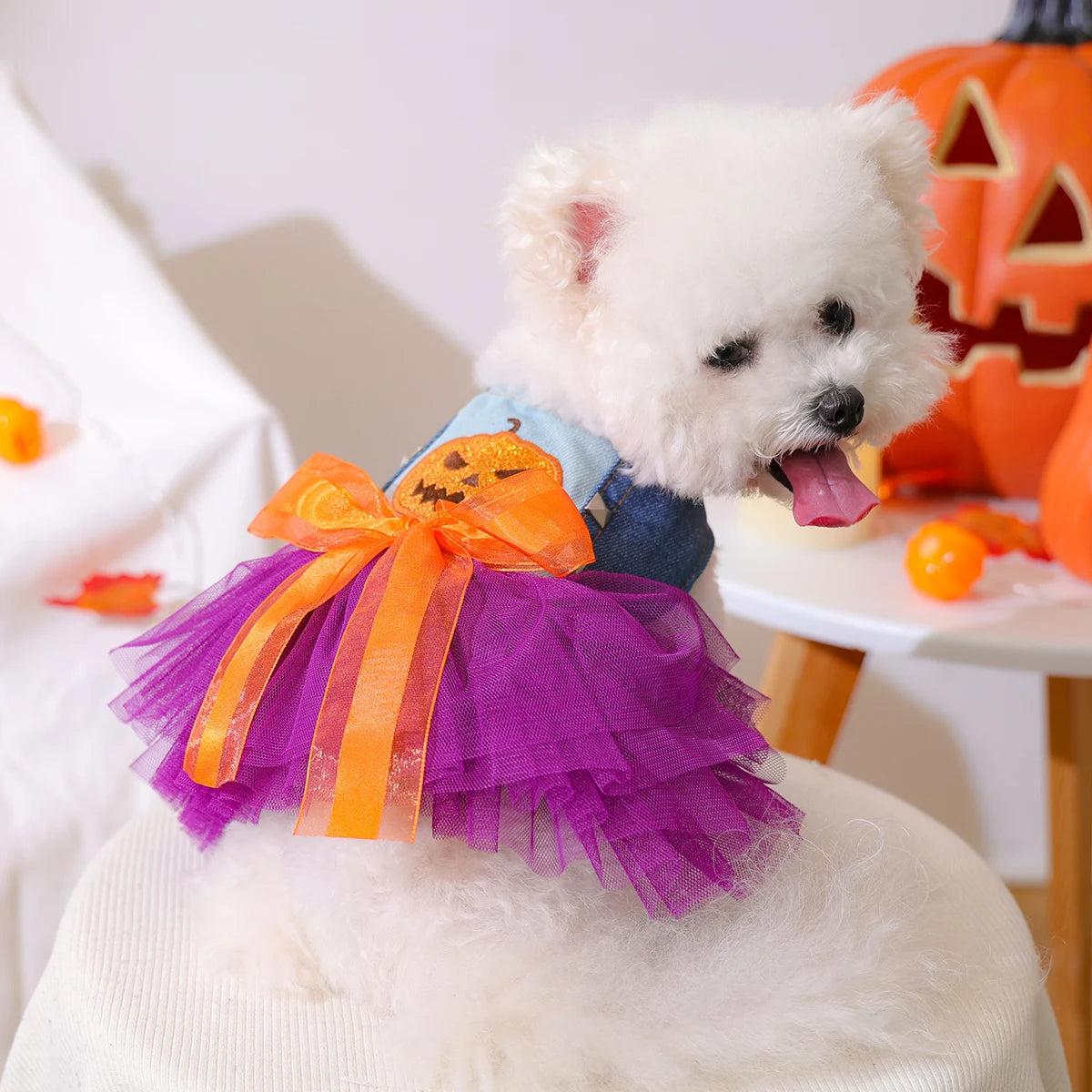 Abiti per cane o gatto per Halloween.