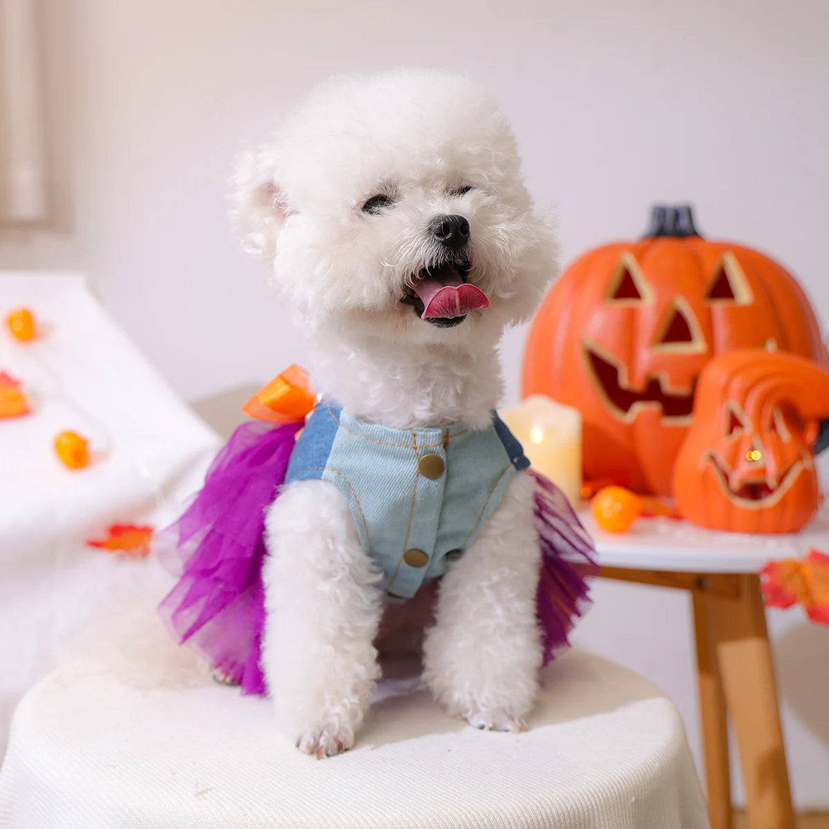 Abiti per cane o gatto per Halloween.